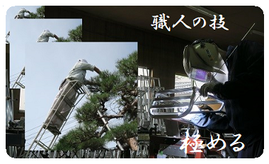 極める 極める