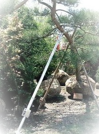 さし又の使用例